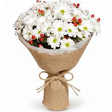 Букет цветов из:  Хризантемы #REPLACE_PRED# Кваркено